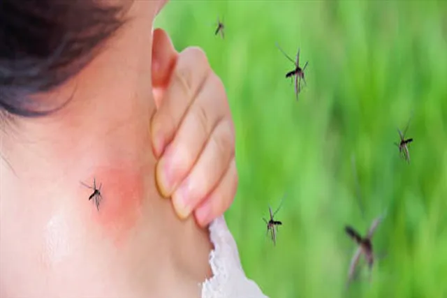 ভারী বৃষ্টি হলে বাড়তে পারে ডেঙ্গু, ম্যালেরিয়ার ঘটনা