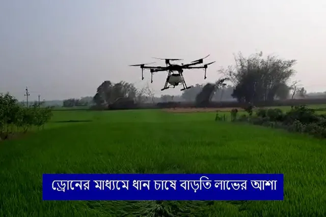 ড্রোনের সাহায্যে ধান চাষ, বাড়বে আয়, বাঁচবে সময়