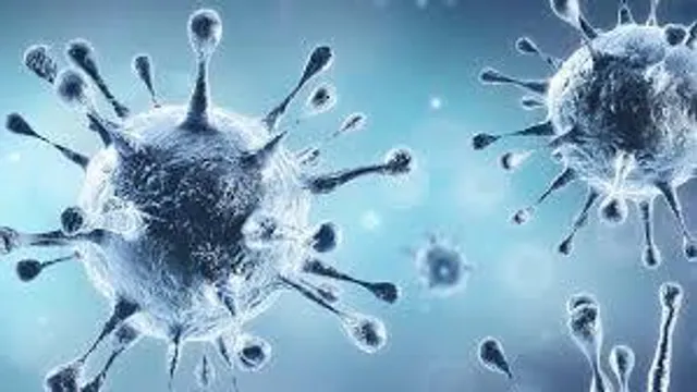 এই মুহূর্তে রাজ্যে করোনার পজিটিভিটি রেট ১.৬৫ শতাংশ