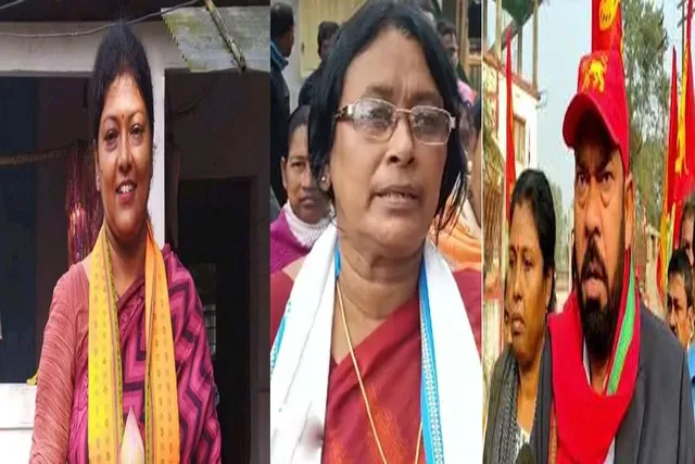 বাদারঘাটে সরকার