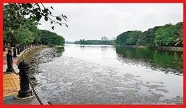 রবীন্দ্র সরোবরের জলে অক্সিজেনের ঘাটতি