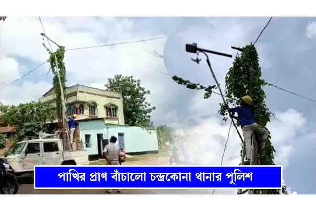 পাখির প্রাণ বাঁচাল পুলিশ-বিদ্যুৎ দপ্তর