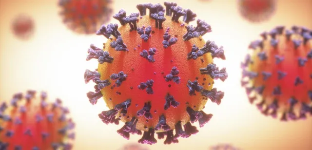 মুম্বইয়ের বিভিন্ন হাসপাতালেও করোনার থাবা