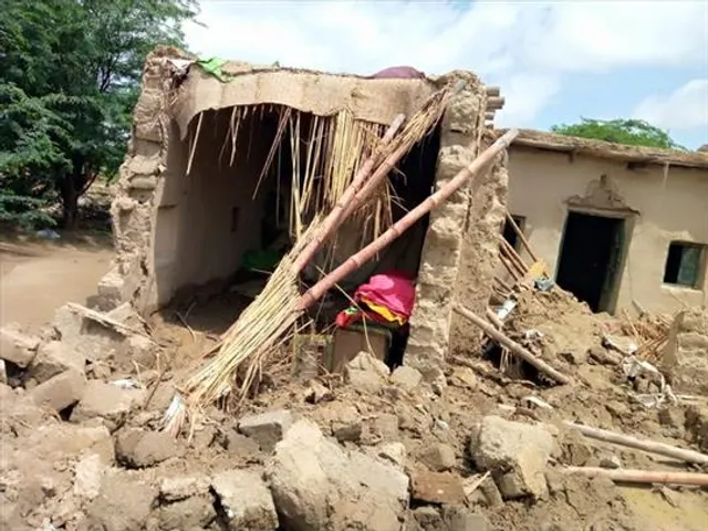 পাকিস্তানে বন্যা, অবিলম্বে সহায়তার আহ্বান ইউএনএইচসিআর-এর