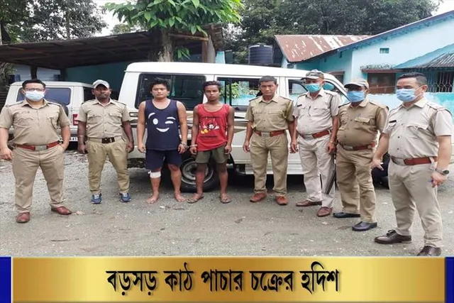 বড়সড় কাঠপাচার চক্রের পর্দাফাঁস