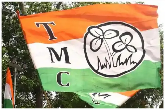 মেরে ফাটানো হল তৃণমূল কর্মীর নাক! প্রকাশ্যে তৃণমূলের গোষ্ঠী কোন্দল