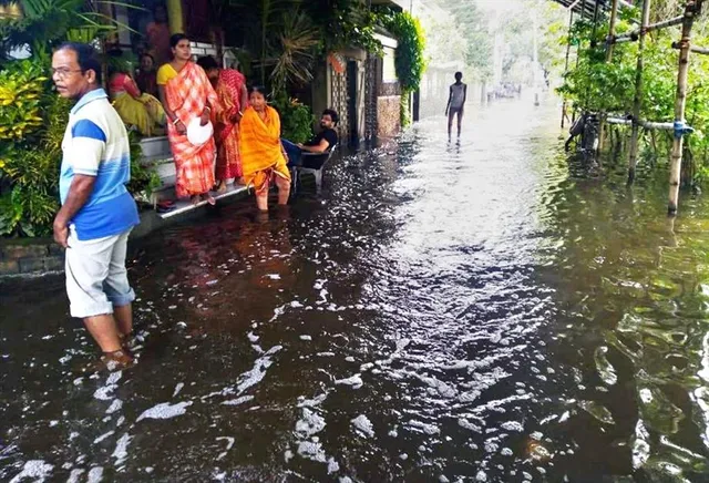 বেহাল অবস্থায় বেহালা