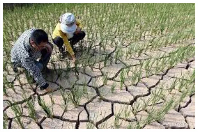 চীনে জারি খরা সতর্কতা