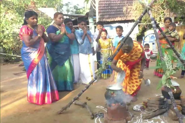 মকর সংক্রান্তি উপলক্ষে পালন করা হচ্ছে পোঙ্গাল উৎসব
