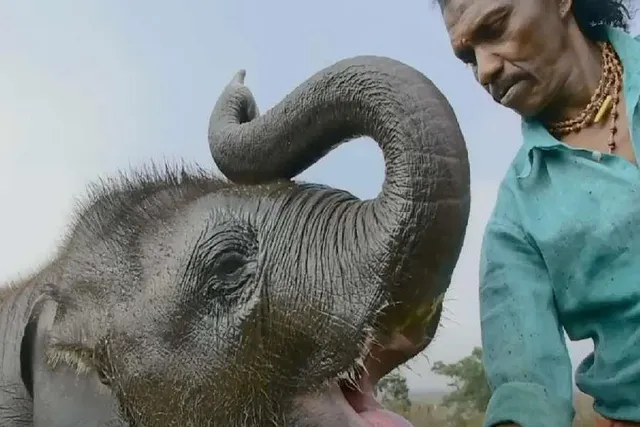 অস্কার পেল ভারতীয় স্বল্প দৈর্ঘ্যের সিনেমা