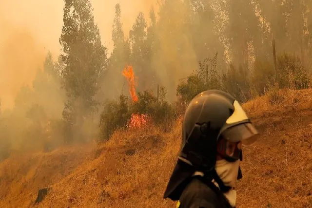চিলির দাবানল, বেড়েছে মৃতের সংখ্যা