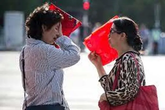 চিনে রেকর্ড ব্রেকিং পর্যায়ে পৌঁছল বিদ্যুতের ব্যবহার