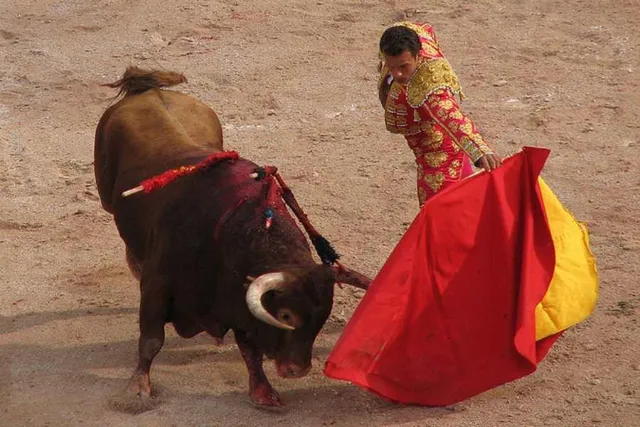 প্রত্যাহার করা হল ষাঁড়ের লড়াই নিষিদ্ধের বিল