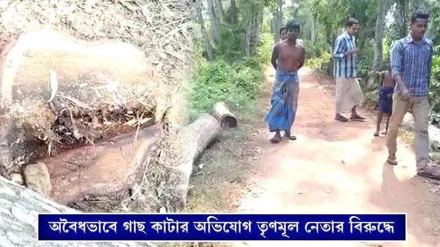 অবৈধভাবে গাছ কাটার অভিযোগ তৃণমূল নেতার বিরুদ্ধে