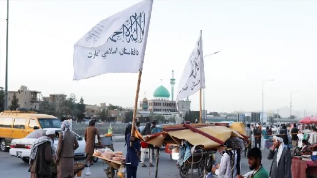 ড্রাইভিং লাইসেন্স দেওয়া বন্ধ করল তালিবান, আফগান মহিলারা আর গাড়ি চালাতে পারবেন না