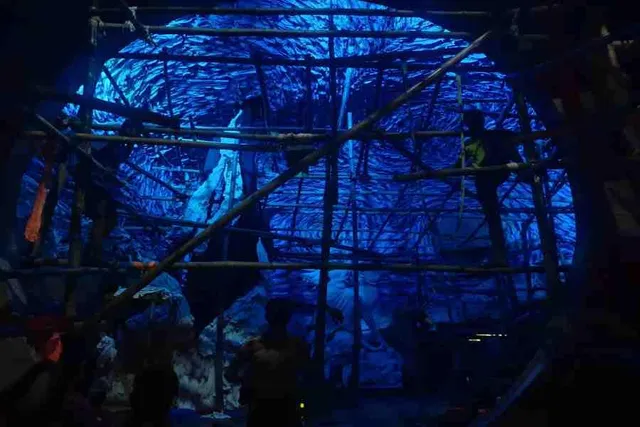 এই বছর হিন্দুস্তান পার্ক দুর্গোৎসব কমিটির পুজোর বাজেট কত জানেন?