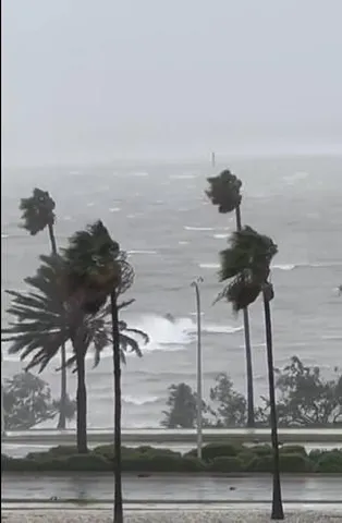 অতি শক্তিশালী হ্যারিকেনের দাপটে ভাসছে ফ্লোরিডা, উত্তাল সমুদ্রে ডুবল একটি জেট