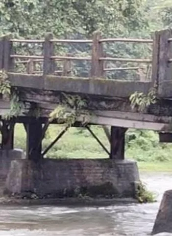 চা বাগানের সেতু ভগ্ন দশায়, হেলদোল নেই প্রশাসনের