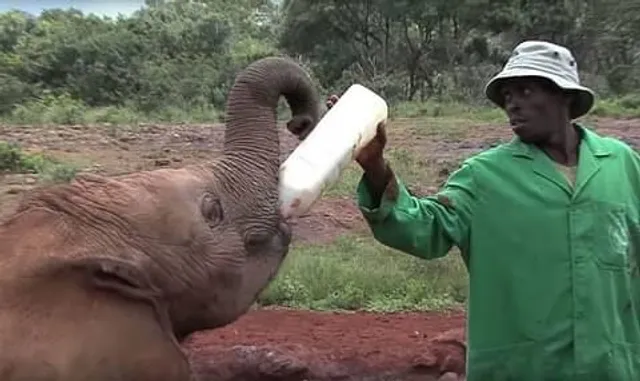 এ এক মন ভালো করা ভিডিও