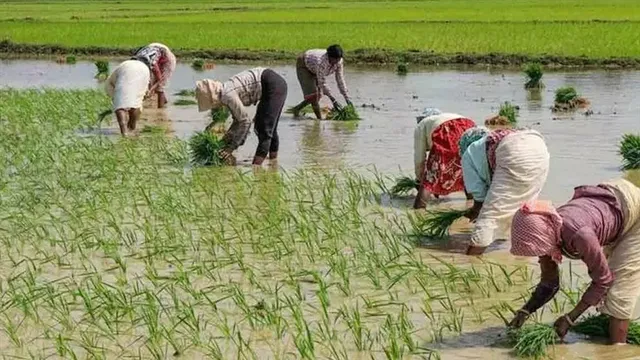 ১৪৫টি কৃষি সরঞ্জাম সহায়তা কেন্দ্রের কাজ শুরু মার্চেই