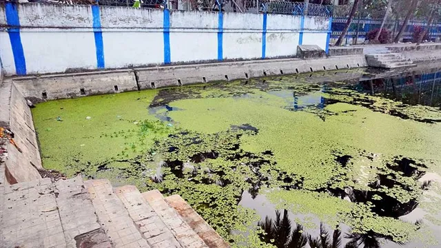 শহরের জলাশয় নিয়ে উদ্যোগ পুরসভার