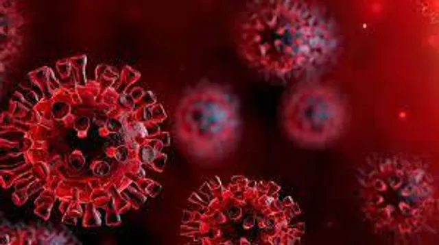 গত ২৪ ঘণ্টায় সামান্য বাড়ল সংক্রমণ