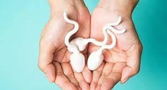 বীর্যর এই ব্যবহার সম্বন্ধে জানেন কী?