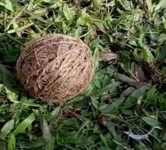 সাতসকালে ব্যান্ডেলে স্কুলের মাঠে বোমা