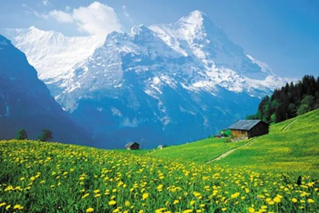 জেনে নিন কে কোথায় বেড়াতে যেতে পছন্দ করেন?