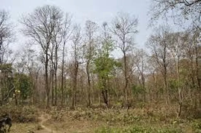 পুজোয় ঘুরে আসুন হাতের কাছের অভয়ারণ্য থেকে