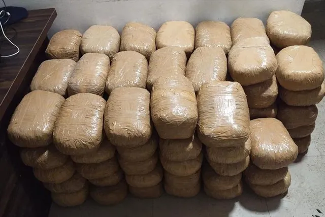 ৪ কোটি টাকা মূল্যের গাঁজা উদ্ধার করল NCB