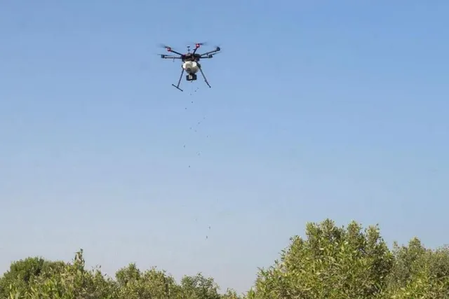 রাতের আকাশে বর্ডারে দেখা গেল উড়ন্ত পাক ড্রোন