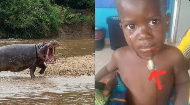 জলহস্তির পেট থেকে বেরিয়ে এল জীবিত শিশু, ভয়াবহ ঘটনা