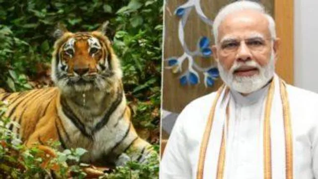 আন্তর্জাতিক বাঘ দিবসে ব্যাঘ্র প্রকল্পের সঙ্গে জড়িতদের প্রশংসায় পঞ্চমুখ প্রধানমন্ত্রী