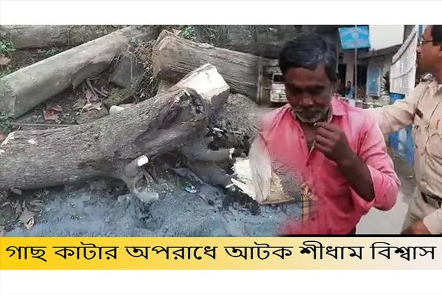 গাছ কাটার অপরাধে আটক ২