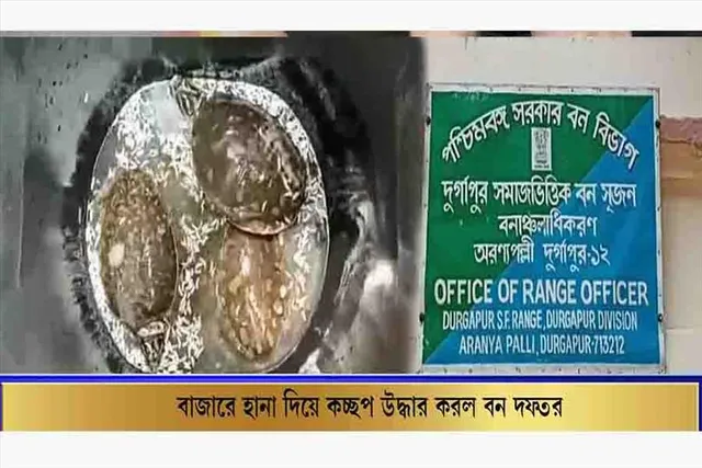 মাছ বাজারে হানা দিয়ে কচ্ছপ উদ্ধার করল বন দফতর