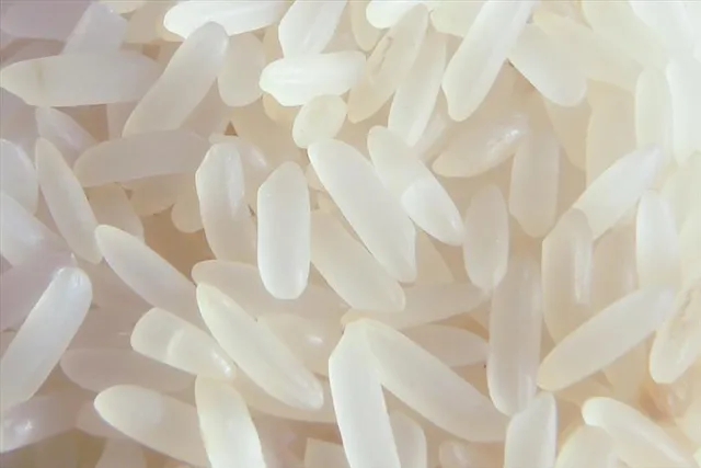 দুয়ারে রেশনে দেওয়া হচ্ছে প্লাস্টিকের চাল! হূলস্থূল ভাতারে