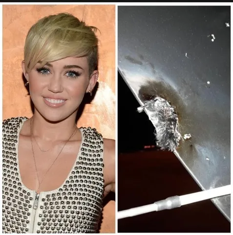 বজ্রপাতের কবলে মাইলি সাইরাসের বিমান