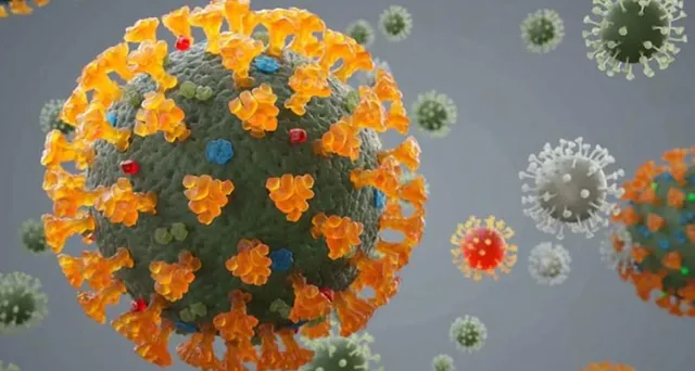 রাজ্যে ফের লাফিয়ে বাড়ল করোনা সংক্রমণ, গত ২৪ ঘণ্টায় আক্রান্ত ২৮৮৯ জন