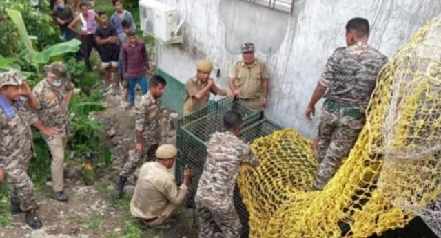 বাগডোগরাতে চিতাবাঘের আতঙ্ক!