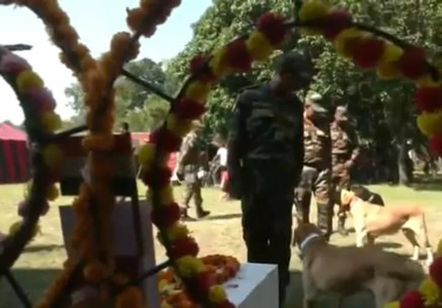 শহিদ 'জুম'-এর শেষকৃত্যে জওয়ানদের সঙ্গে হাজির ২৯ জন সহকর্মী
