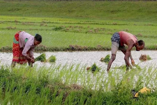 নির্বাচনের আগে বড় ঘোষণা কৃষকদের জন্য