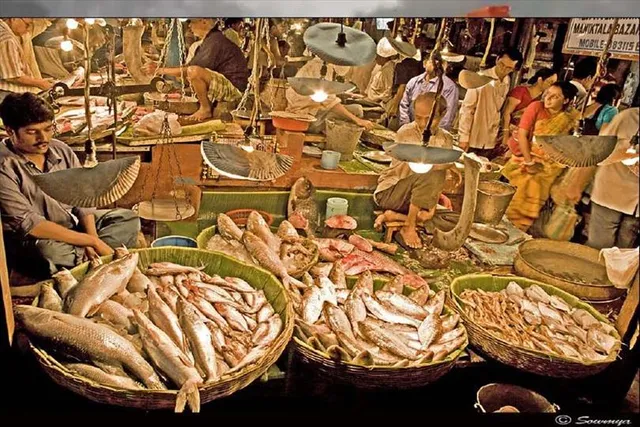 মাছের দাম চিন্তা বাড়াবে মধ্যবিত্তের