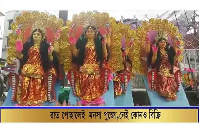 মনসা পুজোর আগে মাথায় হাত বিক্রেতাদের