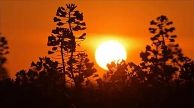 সূর্যের গোচরে লাভবান ৩ রাশি