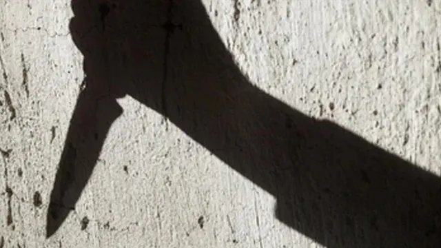 সম্পত্তি নিয়ে বচসা, দাদা ও দিদিকে কোপালো ভাই