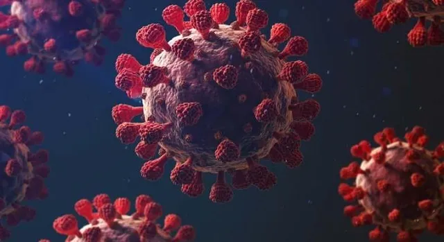 গত ২৪ ঘণ্টায় রাজ্যে করোনা আক্রান্ত ৪৭২, মৃত ৩