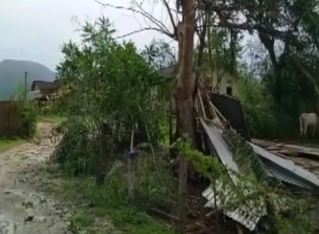 সাইক্লোন সিত্রাং: অসমে ১০০০-এরও বেশি মানুষ ক্ষতিগ্রস্ত