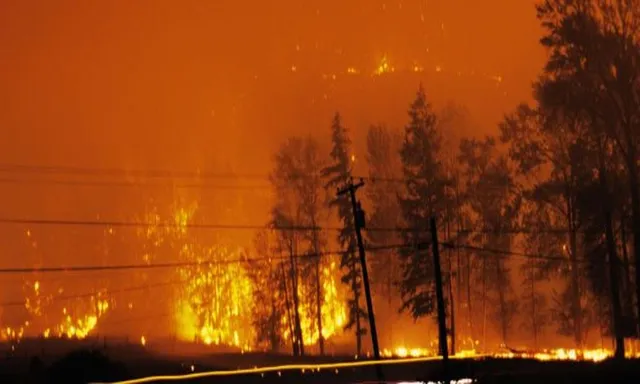 ব্রিটিশ কলম্বিয়ার জঙ্গলে বিধ্বংসী আগুন
