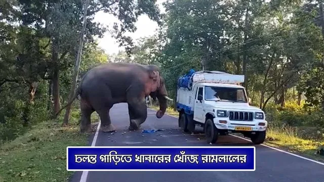 চলন্ত গাড়িতে খাবারের খোঁজ রামলালের